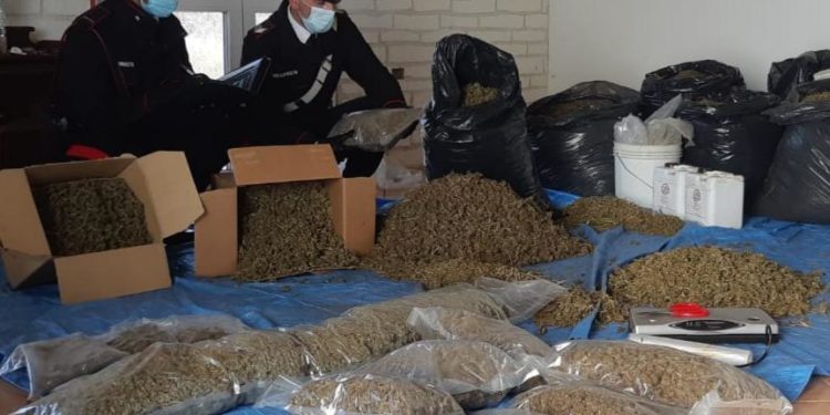 A Villasor i carabinieri hanno arrestato due persone per produzione e detenzione di stupefacenti in concorso
