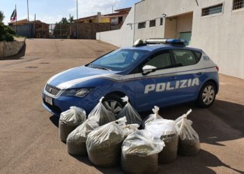 Olbia: lotta al traffico di stupefacenti, sequestrati 90 kg di marijuana