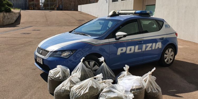 Olbia: lotta al traffico di stupefacenti, sequestrati 90 kg di marijuana