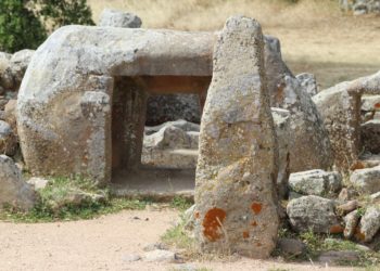 Aristeo e SAT bandiscono quattro borse di studio per giovani ricercatori italiani residenti in Sardegna