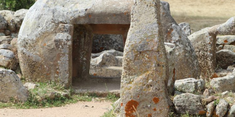 Aristeo e SAT bandiscono quattro borse di studio per giovani ricercatori italiani residenti in Sardegna