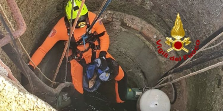 I vigili del fuoco del Nucleo Sommozzatori stamane sono intervenuti a Uta, in soccorso di un gatto finito all’interno di un pozzo