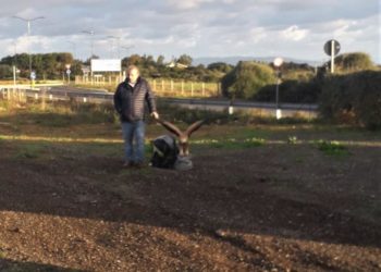 Sono state ritrovate le due statue del presepe di Stintino rubate ieri