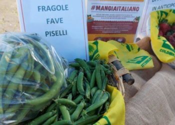 Arrivano i decreti Salva Spesa. Coldiretti Sardegna: «Garanzia per le aziende agricole che vedono tutelato il loro lavoro»