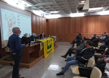 Blue Tongue. Coldiretti Sardegna: «Vaccinare i bovini»