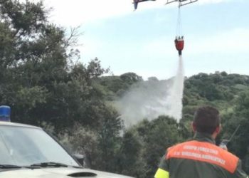 Concorso per agente di Corpo forestale. Gli esclusi: «Modificare i requisiti del bando»