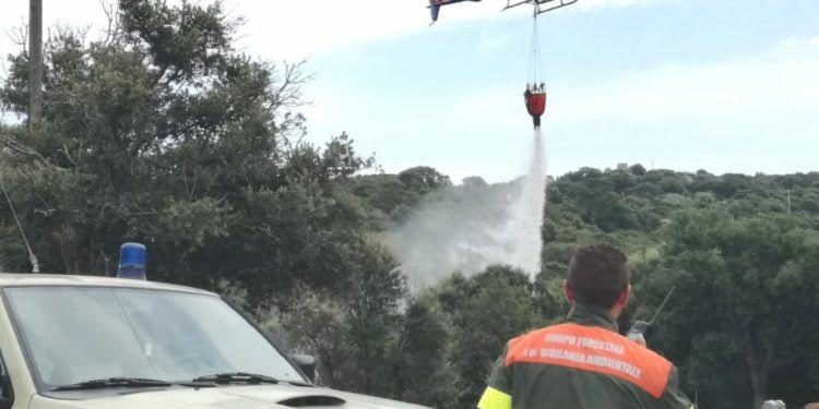 Concorso per agente di Corpo forestale. Gli esclusi: «Modificare i requisiti del bando»