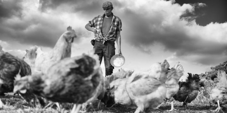 Non è l’America è il secondo libro fotografico realizzato da Stefano Pia sui luoghi della sua quotidianità