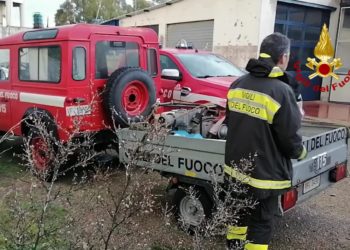 Villasor: un cane finisce in un canale, lo salvano i vigili del fuoco