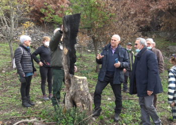 Si è conclusa con la messa a dimora e la consegna di decine di piantine di olivo la festa dell’albero organizzata dall’associazione Montiferru