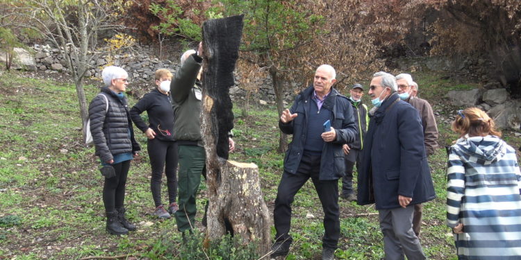 Si è conclusa con la messa a dimora e la consegna di decine di piantine di olivo la festa dell’albero organizzata dall’associazione Montiferru