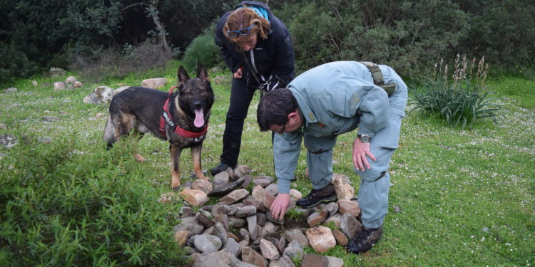 Assicurare la sopravvivenza del grifone: completati i corsi di formazione ad Alghero ed Oristano