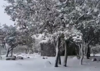 Maltempo. Coldiretti Sardegna: «Campagne sotto la neve, aziende isolate»