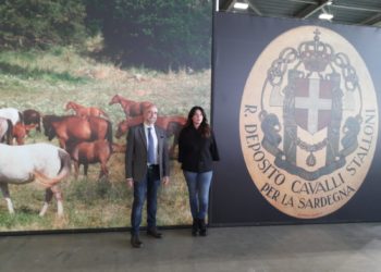 Agris alla “Fieracavalli” di Verona. Gabriella Murgia: «La Sardegna eccelle nelle principali razze superiori»