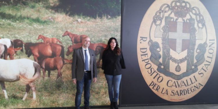 Agris alla “Fieracavalli” di Verona. Gabriella Murgia: «La Sardegna eccelle nelle principali razze superiori»