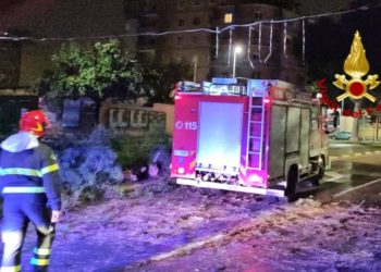 Cade un grosso albero in strada nella notte, i vigili del fuoco mettono in sicurezza l’area e la sede stradale
