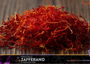 Domenica 14 novembre prende il via il Festival delle Strade dello Zafferano di Sardegna DOP