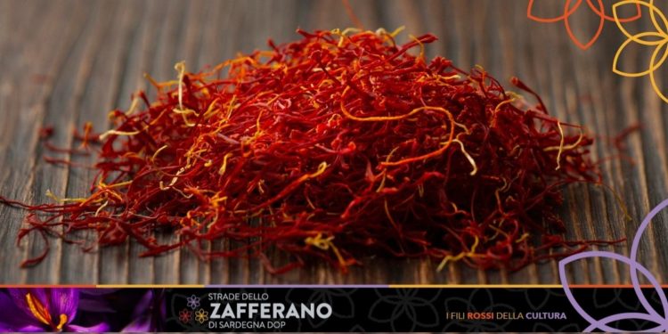 Domenica 14 novembre prende il via il Festival delle Strade dello Zafferano di Sardegna DOP