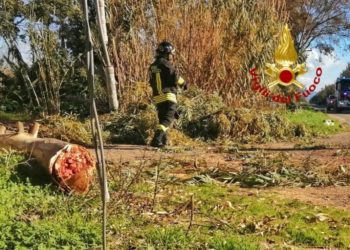 Arborea: cade un ramo su una linea di distribuzione di energia elettrica nella strada 6, intervengono i vigili del fuoco