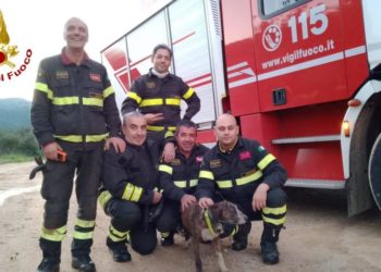 Olbia: una cagnetta Gemma cade in una grotta naturale, la salvano i vigili del fuoco
