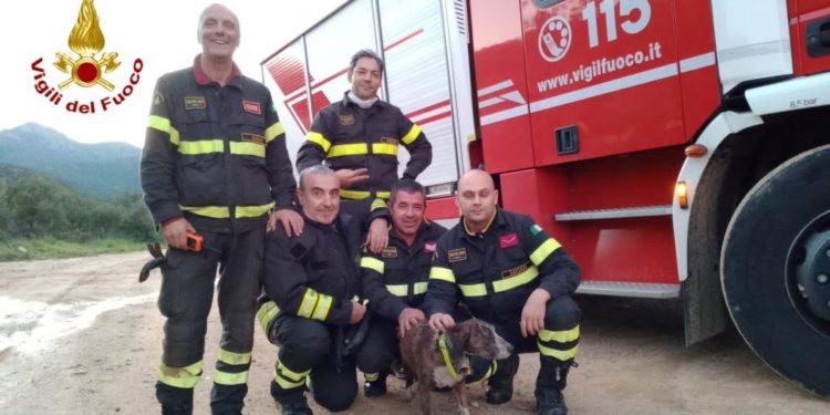 Olbia: una cagnetta Gemma cade in una grotta naturale, la salvano i vigili del fuoco
