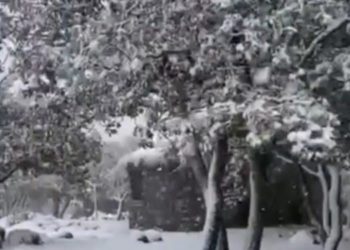 Emergenza neve: dalla Regione 500mila euro ai Comuni montani