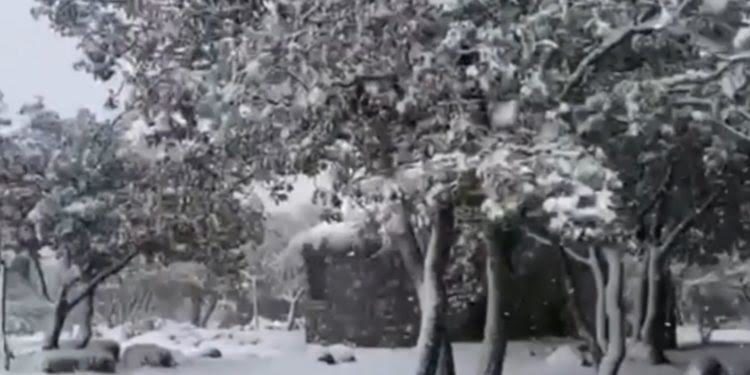 Emergenza neve: dalla Regione 500mila euro ai Comuni montani