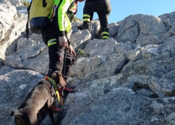 Oliena: femmina di maremmano si perde nel Supramonte, la trovano i vigili del fuoco