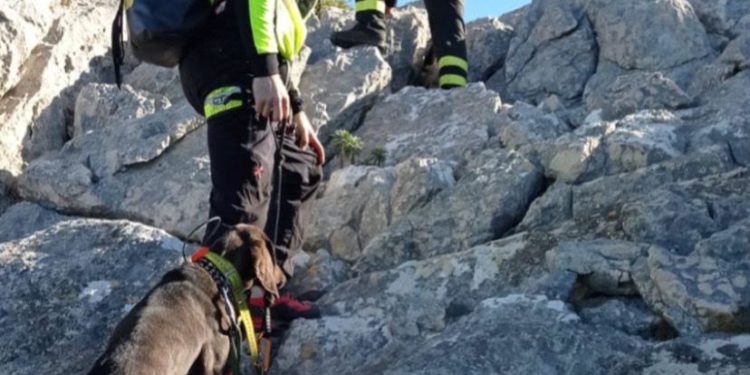 Oliena: femmina di maremmano si perde nel Supramonte, la trovano i vigili del fuoco