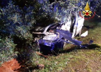 Incidente stradale sulla Borore-Sedilo, morto un cavallo