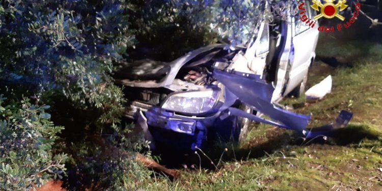 Incidente stradale sulla Borore-Sedilo, morto un cavallo