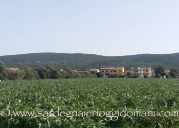 Paolo Mele (presidente di Confagricoltura Sardegna): «Per le festività, acquistiamo prodotti agroalimentari locali»