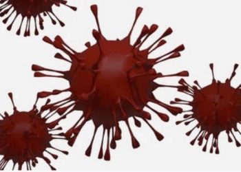 Crescono i nuovi casi positivi al Covid-19 in Sardegna, 259 quelli accertati nelle ultime 24 ore, su 3.229 test eseguiti (8%), nessun decesso