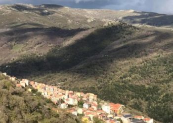 Lotta alla peste suina africana: abbattuti 41 suini bradi illegali a Desulo