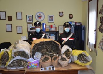 I carabinieri di Dolianova hanno rinvenuto 14 kg di marijuana, 120 grammi di hashish ed un ciclomotore rubato in un’abitazione di via Soleminis