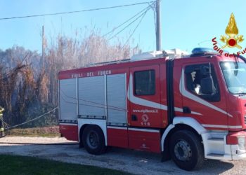 Arzachena: a fuoco un canneto, intervengono i vigili del fuoco