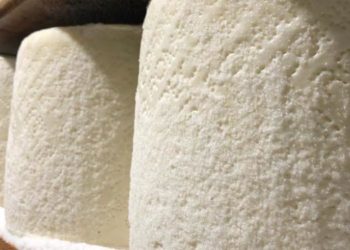 Coldiretti Nuoro-Ogliastra: «Sette anni per riconvertire le greggi alle razze autoctone, una sconfitta per la Sardegna»