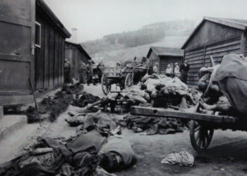 Alessandra Zedda: «Il giorno della memoria, un’ulteriore opportunità per riaffermare il primato dell’etica, della moralità, dell’educazione»