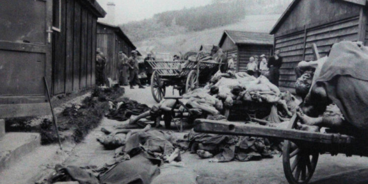 Alessandra Zedda: «Il giorno della memoria, un’ulteriore opportunità per riaffermare il primato dell’etica, della moralità, dell’educazione»