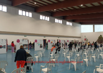 Procede a pieno ritmo la campagna vaccinale in Sardegna, ieri sono state somministrate 18.917 dosi