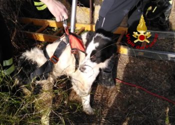 Scontro tra due auto sulla SS 131 alle porte di Sestu, una ragazza ricoverata in ospedale in codice rosso