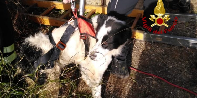 Scontro tra due auto sulla SS 131 alle porte di Sestu, una ragazza ricoverata in ospedale in codice rosso