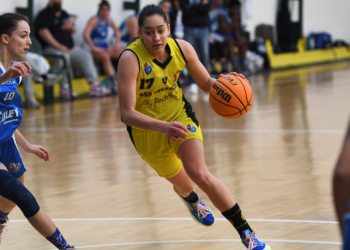 La Techfind scivola in casa