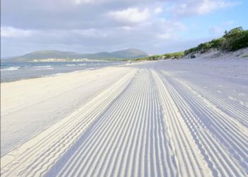 Nuovo appalto della pulizia delle spiagge. Monti e Cocco (FdI Alghero): «Soddisfatti del lavoro dell’Assessore Montis»