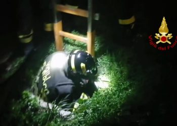 I vigili del fuoco, a Monserrato, hanno soccorso un cane caduto in un pozzetto