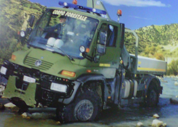 Concorso per 46 agenti forestali in Sicilia