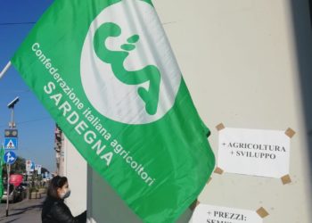 Cia Sardegna: «Allevatori ed agricoltori stremati da incendi, maltempo e costi energetici alle stelle»