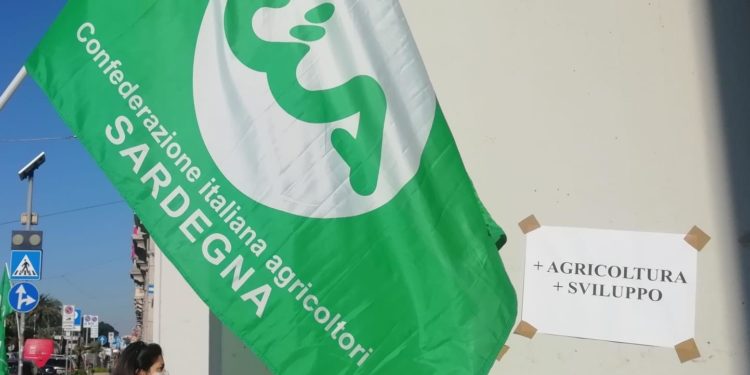 Cia Sardegna: «Allevatori ed agricoltori stremati da incendi, maltempo e costi energetici alle stelle»