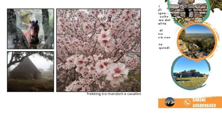 Fine settimana in Marmilla: eventi a Tuili, Ussaramanna, Sanluri e Gesturi