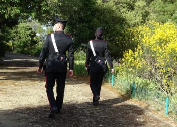 Un pensionato di Sestu va in cerca di asparagi e trova 4 fucili a bordo di un canale. Erano stati rubati il 23 luglio 2021 ad Assemini